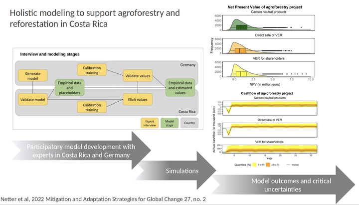 Holistic modelling