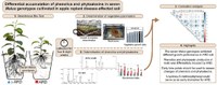 phenolics_publication.jpg