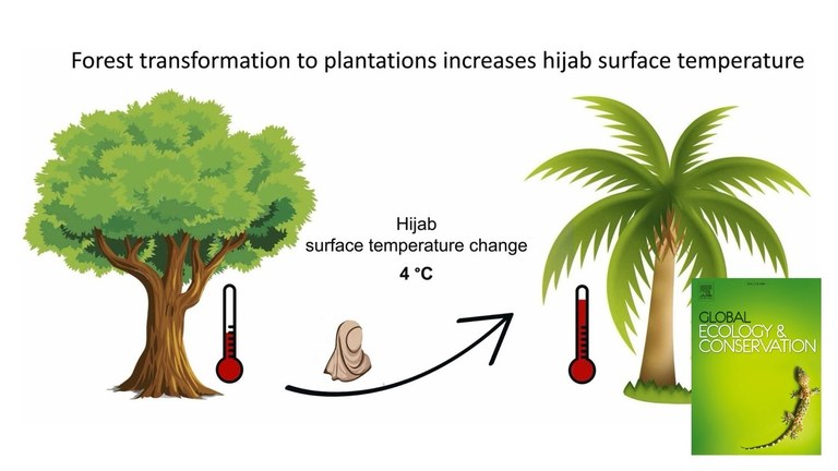 hijab_surface_temperature.jpg