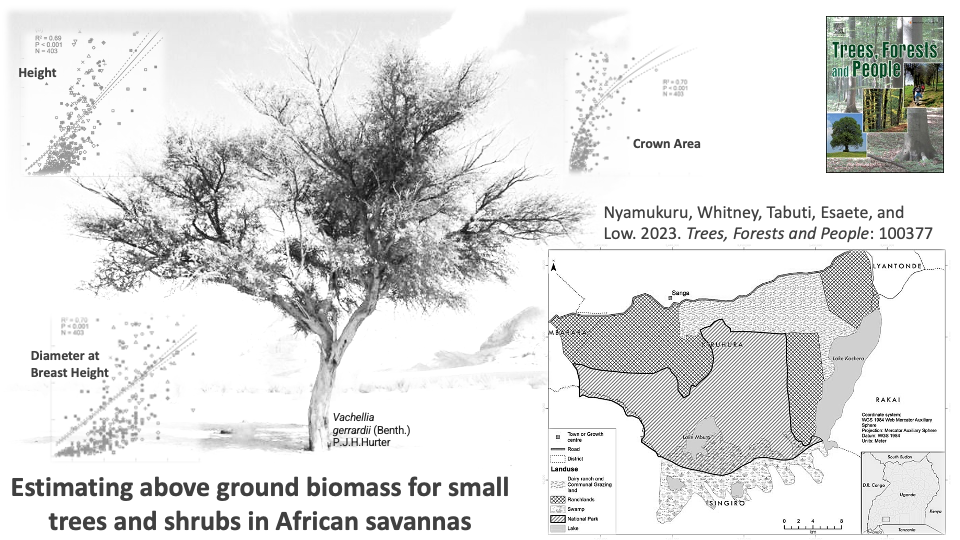 biomass_estimation.png